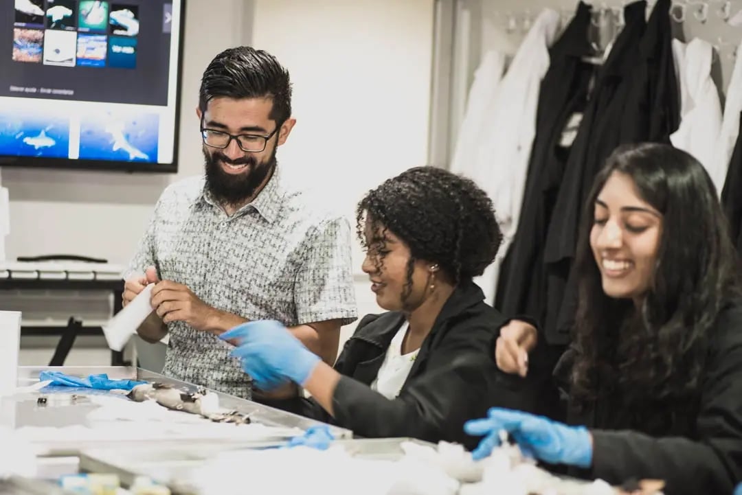 Studierende der Universidad Veritas arbeiten an einem Projekt