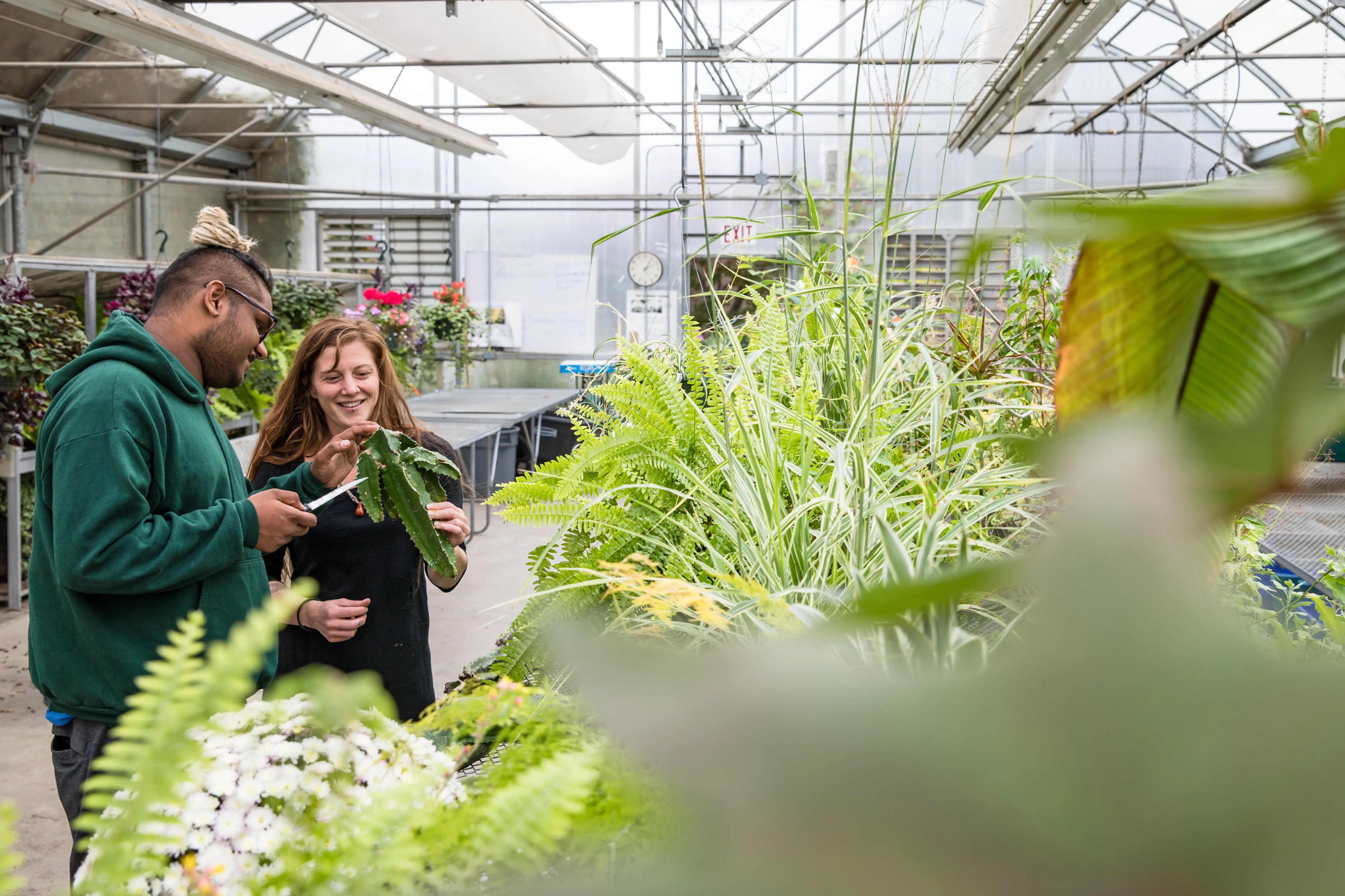 Studierende in einem Gewächshaus auf dem Campus der Thompson Rivers University bei praktischer Arbeit.