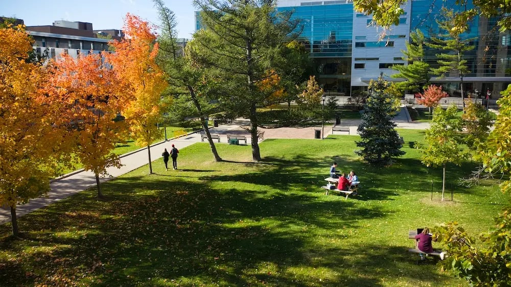 Der grüne Campus der Carleton University