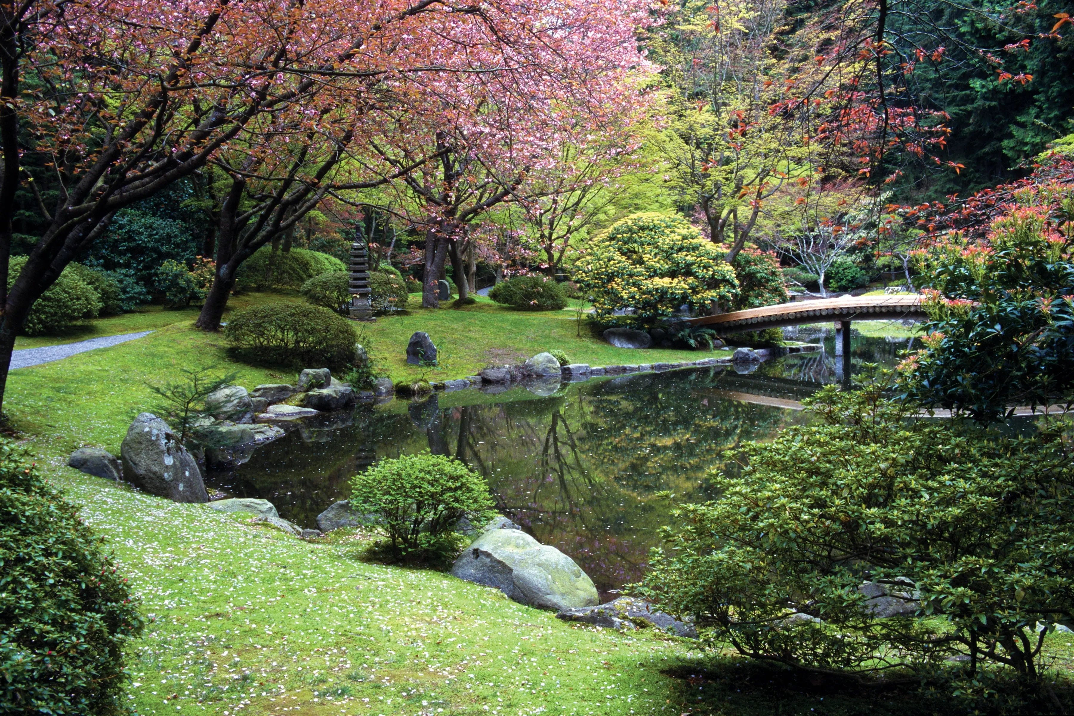 Ein grüner Garten und Teich der University of British Columbia in Vancouver
