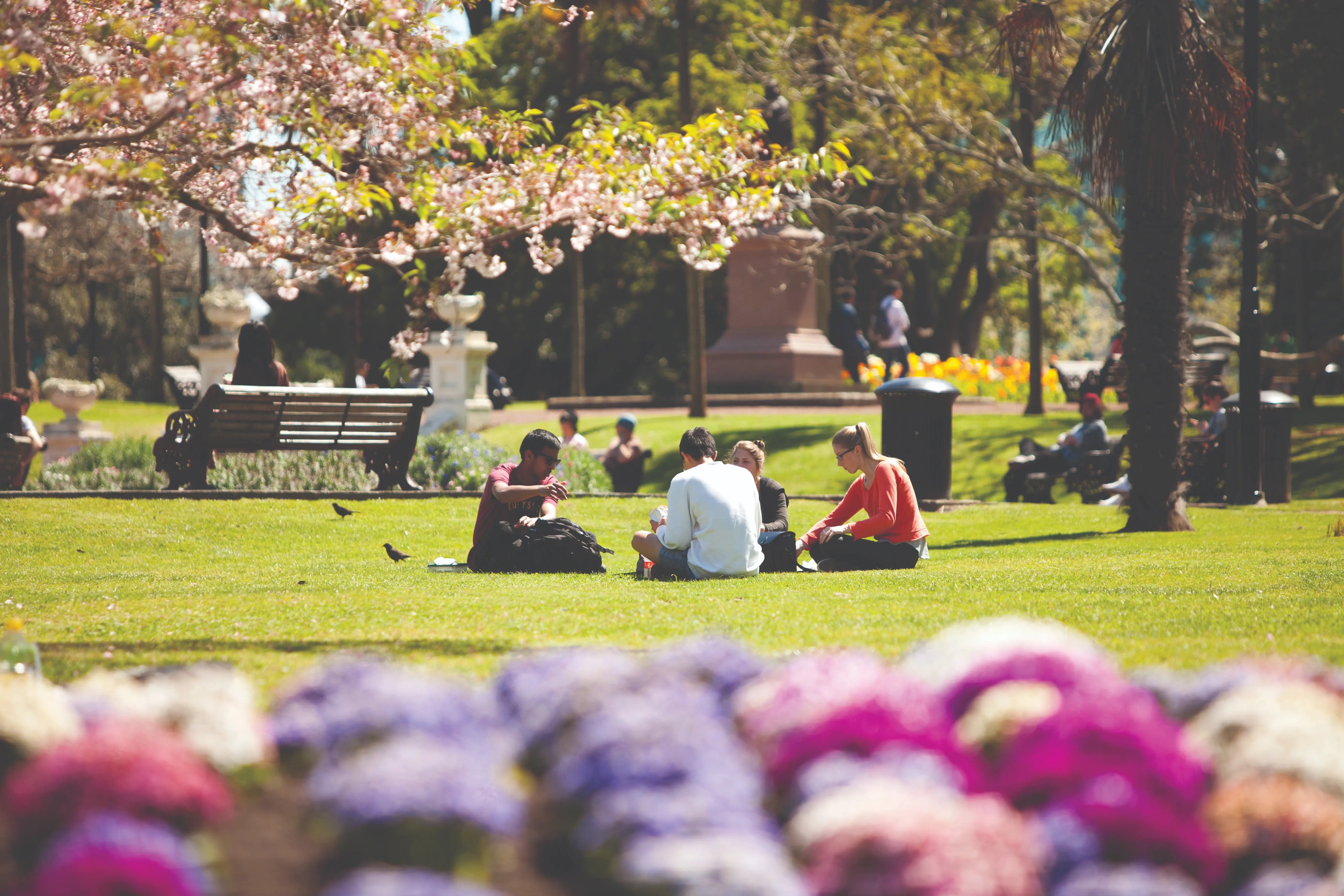 Studierende sitzen im Vorgarten der University of Auckland