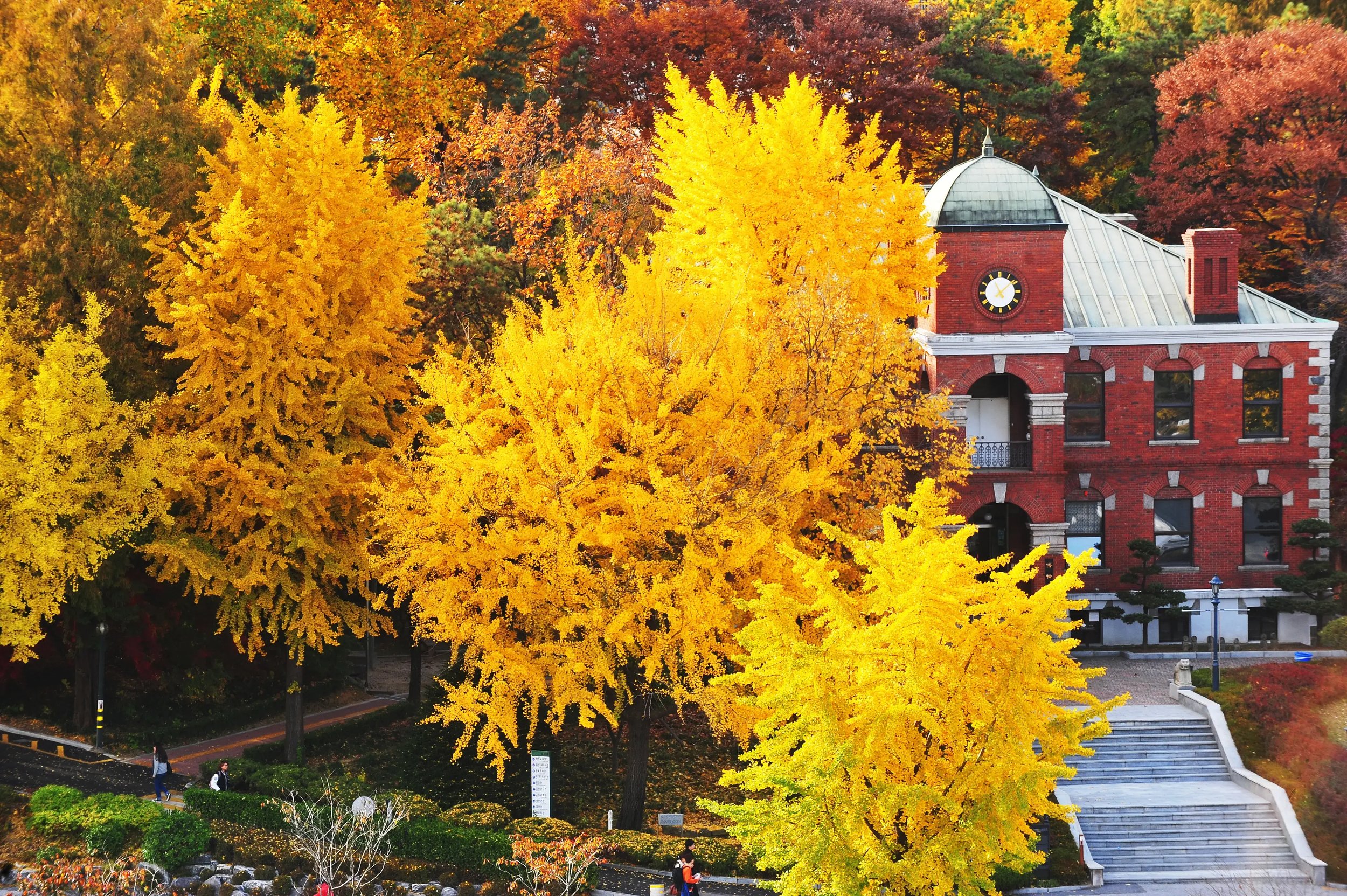 Der Campus der Konkuk University und die Natur im Herbst.