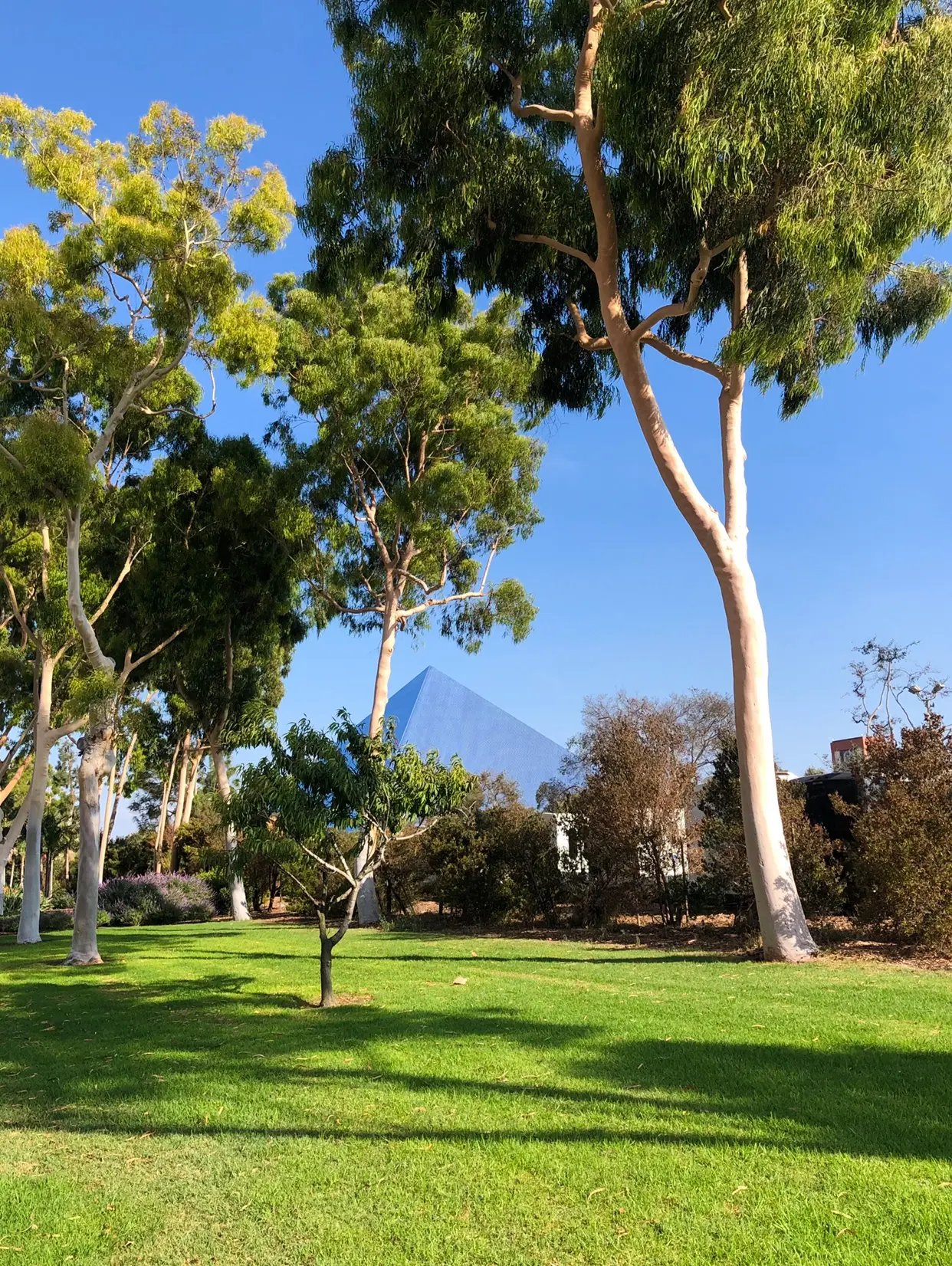 Der Park und der Walter Pyramide der California State University, Long Beach