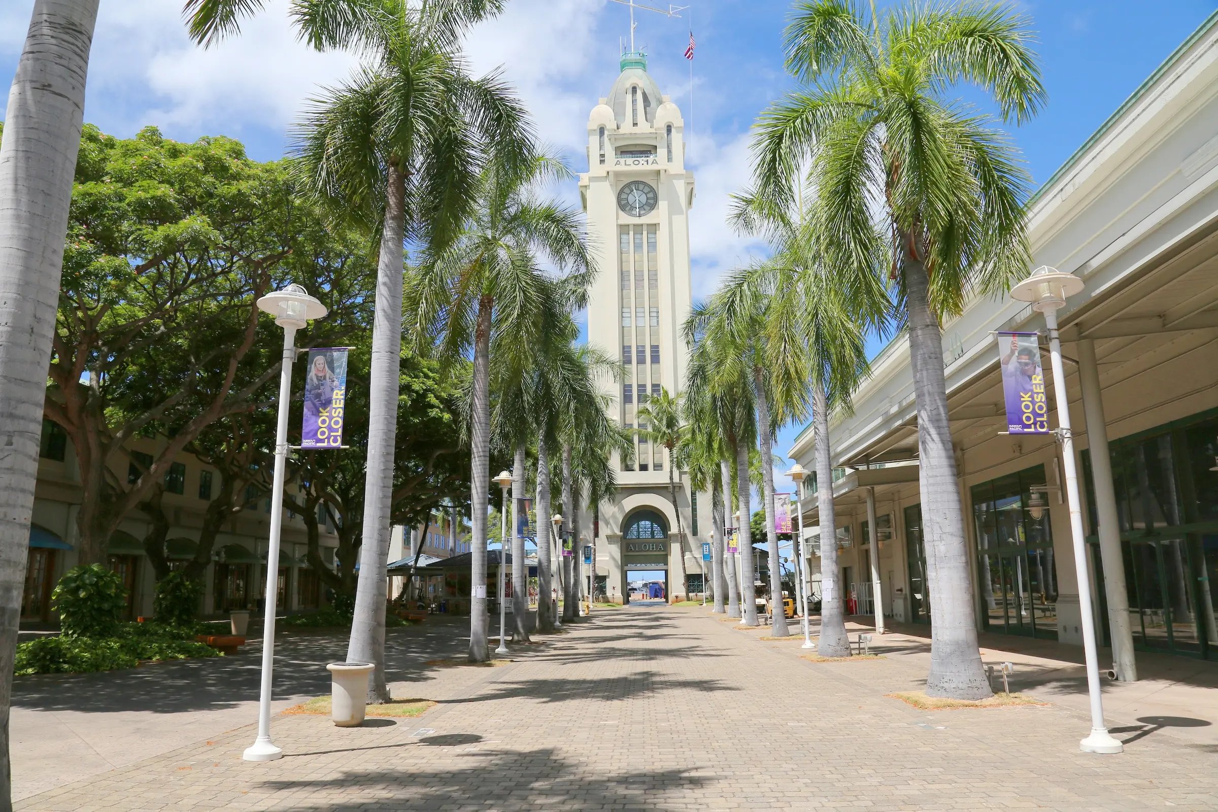 Der Aloha Tower und die Palmen des Campus der Hawai'i Pacific University