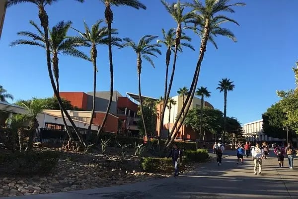 Der Campus und Palmen der California State University, Los Angeles