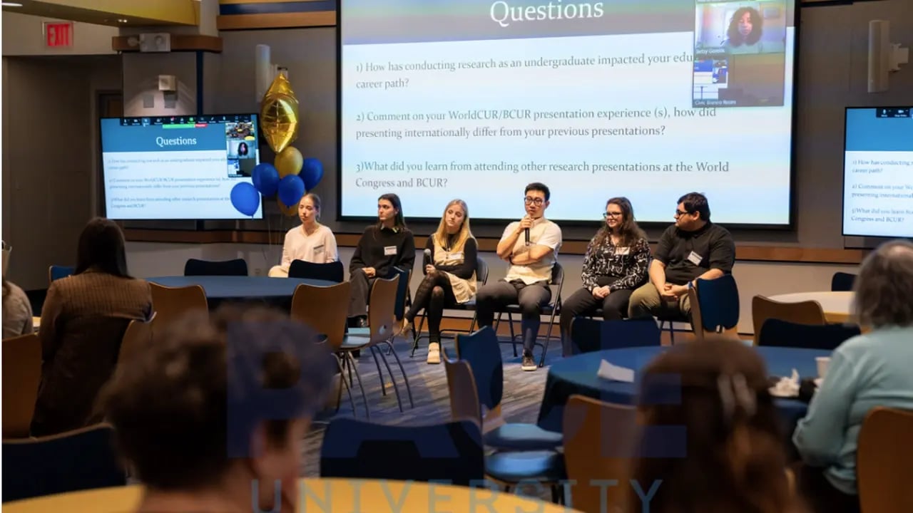 Bachelor Forschungsprojekt der Pace University.