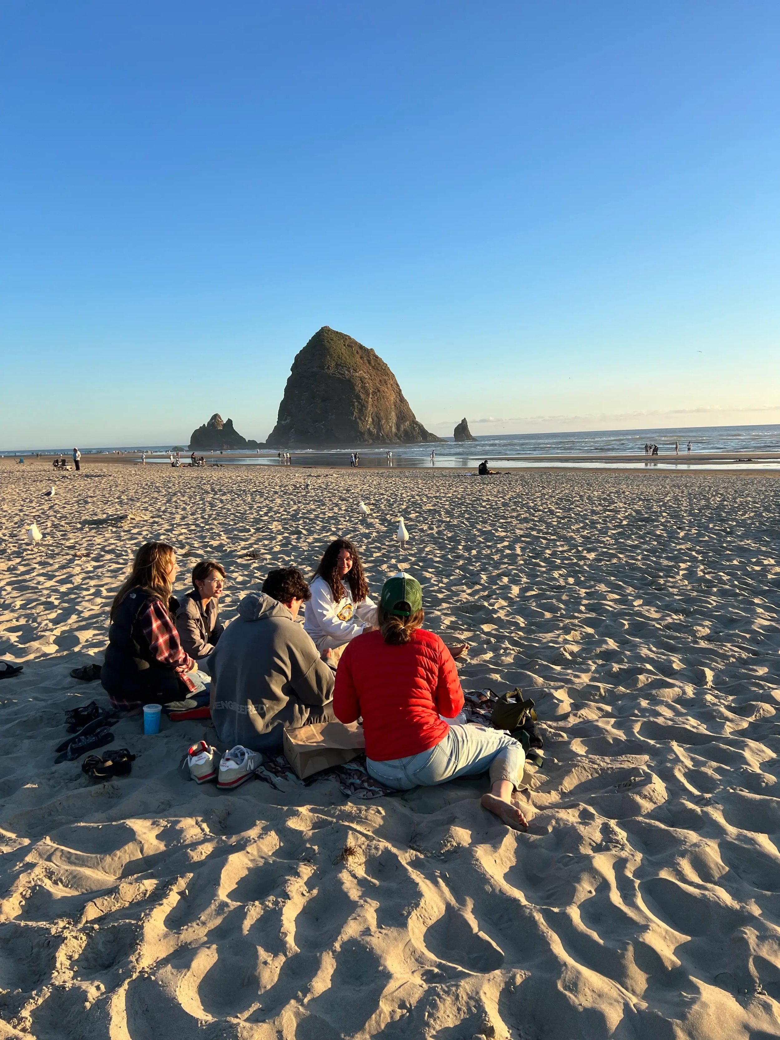 Gruppe junger Menschen sitzt am Strand bei Sonnenuntergang.